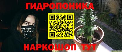 прущая мука Северобайкальск