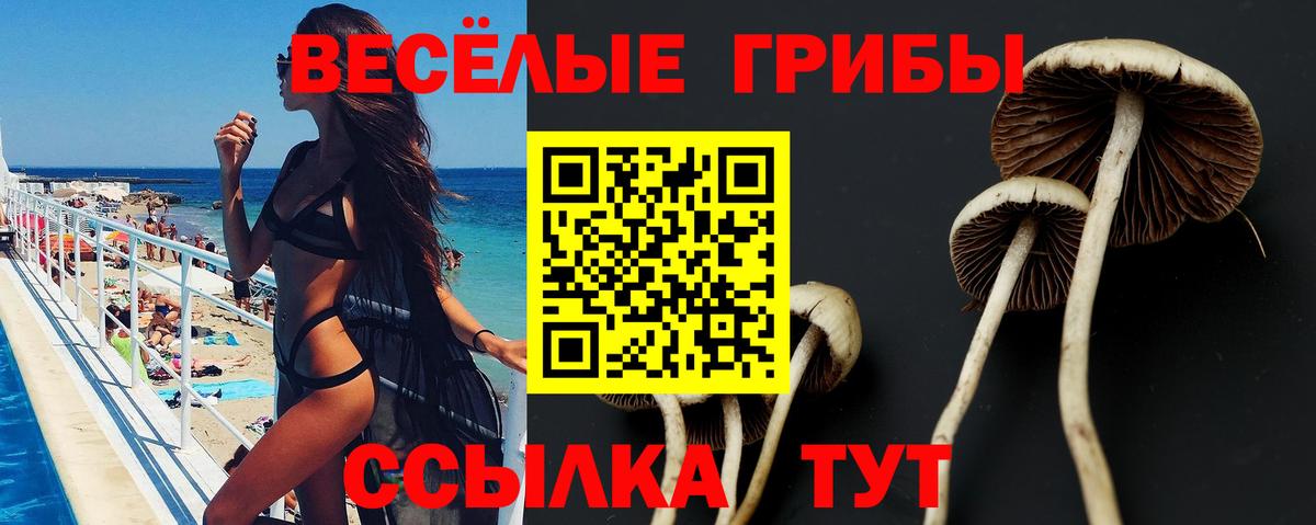 Уссурийск  купить наркотик  Вход с VPN  Галлюциногенные грибы Magic Shrooms 